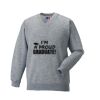 Russell Schoolgear Kids V Neck Sweatshirt Thumbnail